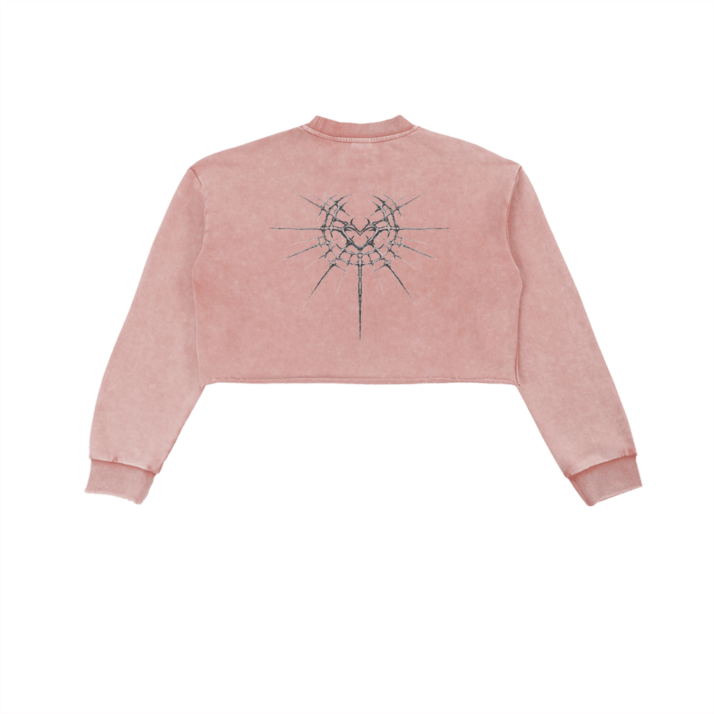 Cyber Kitty Washed Raw Edge Crop Sweatshirt - The Shadow Archive