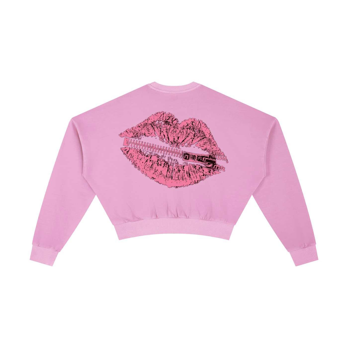Bipolar Kisses Washed Cropped Sweatshirt - The Shadow Archive