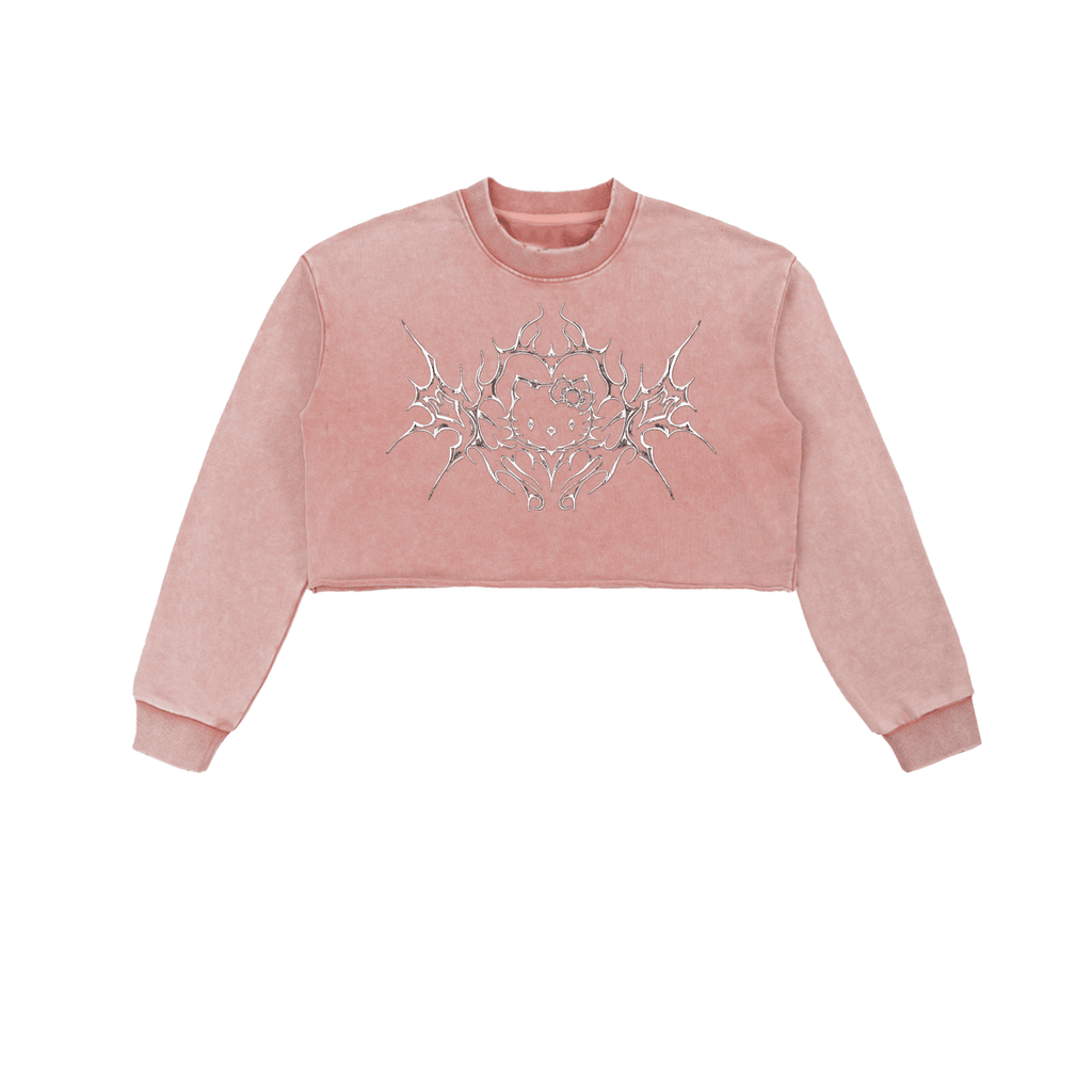 Cyber Kitty Washed Raw Edge Crop Sweatshirt - The Shadow Archive